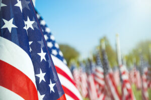 American flags in field with green trees and blue sky in the background
